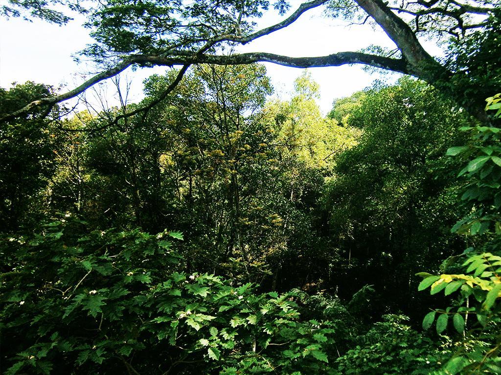 Surrey Bird Sanctuary & Holiday Resort Welimada Eksteriør bilde